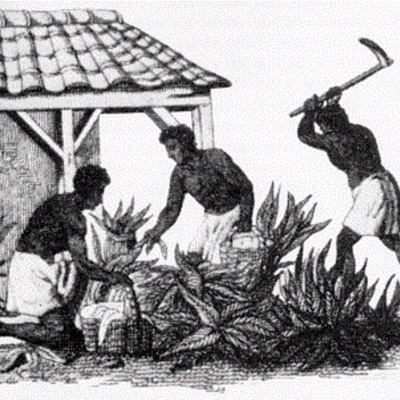 Timeline: Revolutionary timeline