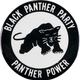 Black panther logo