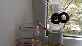 Timeline: Käsitöö ja kodundus 4. klassi tööplaan