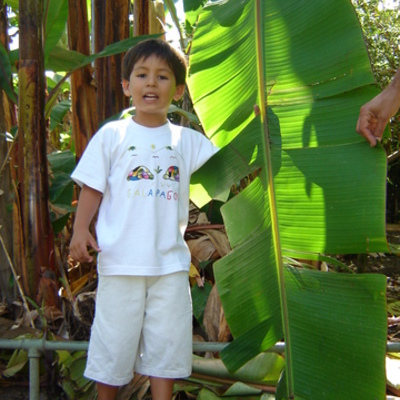 Timeline: LUIS CARLOS