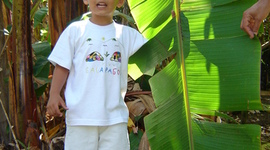 Timeline: LUIS CARLOS