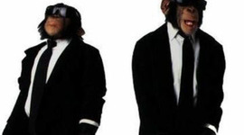 Timeline: APES Environmental Policies