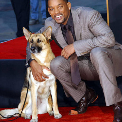 Timeline: Will Smith by: Abigayle W