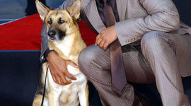 Timeline: Will Smith by: Abigayle W