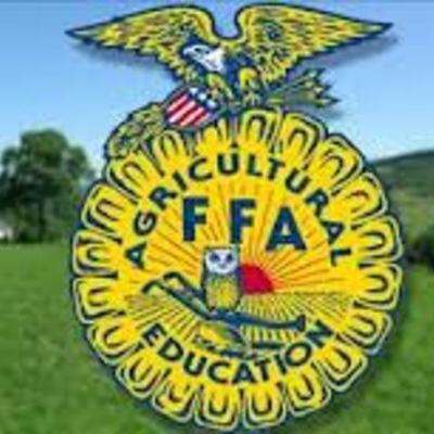Timeline: ffa history
