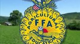 Timeline: ffa history