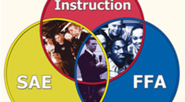 Timeline: Dates In History