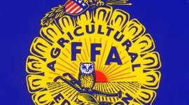 Timeline: ffa