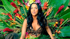 Timeline: KATY PERRY - ROAR