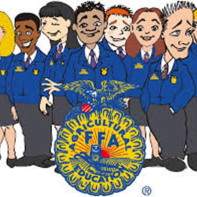 Timeline: ffa history