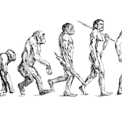 Timeline: History of Evolution