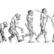 I 8c66c4d51330345ea25f9764619ec10e human evolution