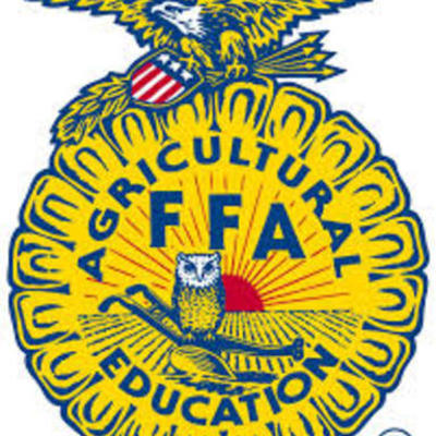Timeline: FFA History Timeline by David Lynch