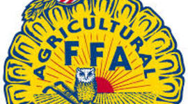 Timeline: FFA History Timeline by David Lynch