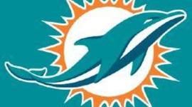 Timeline: AHS7 The Miami Dolphins