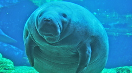 Timeline: Nathan Barnhouse's Timeline