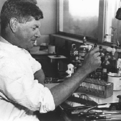 Timeline: Australian Contribution to Immunology