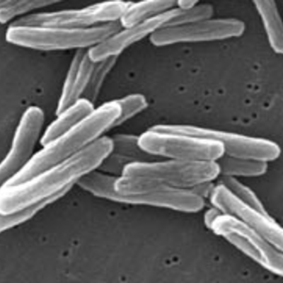 Timeline: Microbiologists