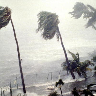 Timeline: Hurricane and Tropical Storms