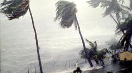 Timeline: Hurricane and Tropical Storms