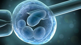 Timeline: Historia de la bioética