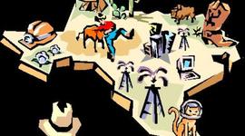 Timeline: Miss B in SA