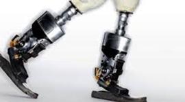 Timeline: Prothetics