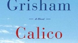 Timeline: Calico Joe