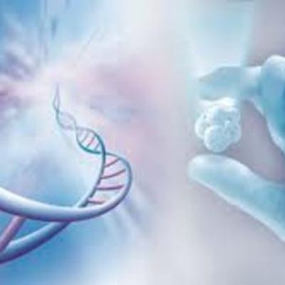 Timeline: antecedestes de la bioetica