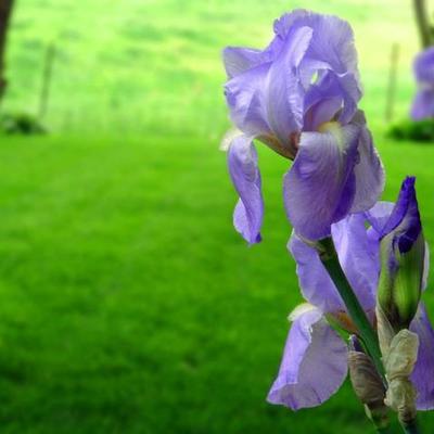 Timeline: ¿Hace Cuánto tiempo?