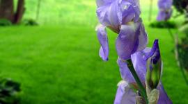 Timeline: ¿Hace Cuánto tiempo?