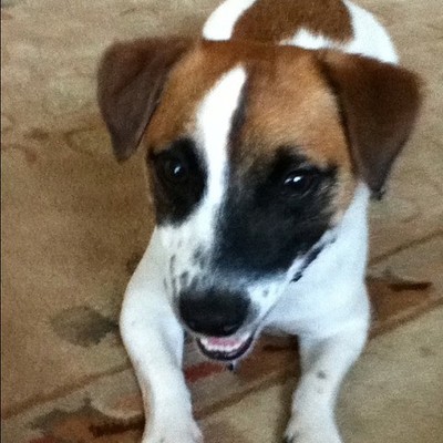 Timeline: my  life moments