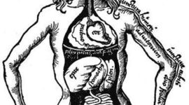 Timeline: The Dark Ages