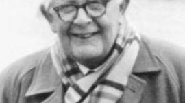 Timeline: Etapas de Piaget