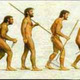The long history of man's evolution