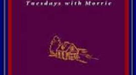 Timeline: For One More Day