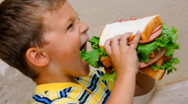 Timeline: La storia dell'alimentazione