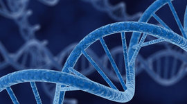 Timeline: Scientific Revolution-Biology