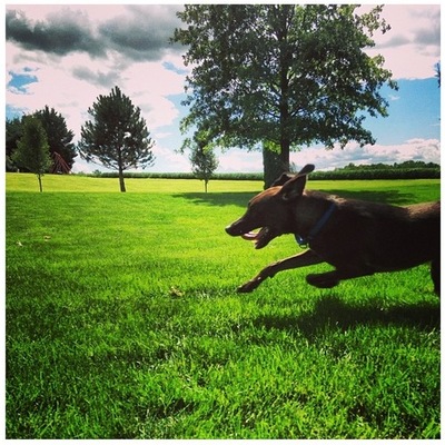 Timeline: Weary Sample Timeline