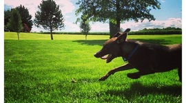 Timeline: Weary Sample Timeline