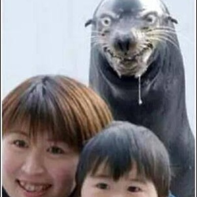 Timeline: Costume Throughout 'The Hardest Button to Button'