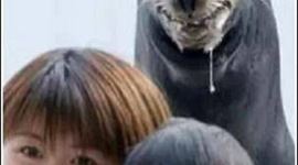 Timeline: Costume Throughout 'The Hardest Button to Button'