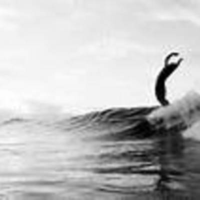 Timeline: History of Surfing