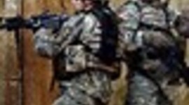 Timeline: Juli, Paige, Birch