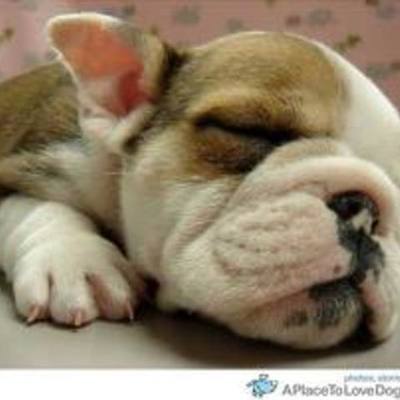 Timeline: 3 Main events