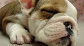 Timeline: 3 Main events