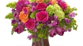 Timeline: Mi escuela florece