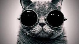 Timeline: My life growing up