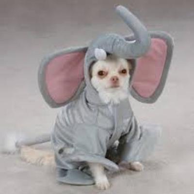 Timeline: U.S history timeline, S. Fisher