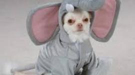 Timeline: U.S history timeline, S. Fisher